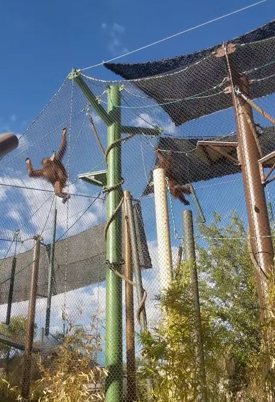 ABQ BioPark project view 6