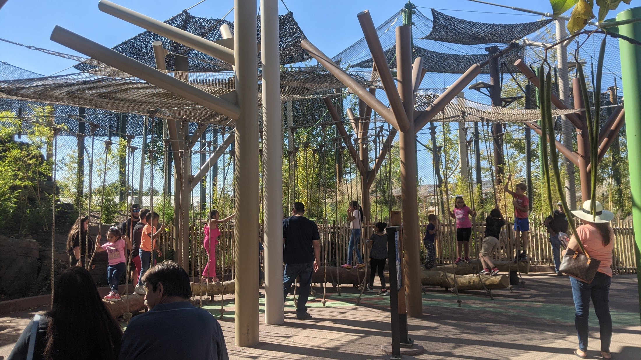 ABQ BioPark project view 9