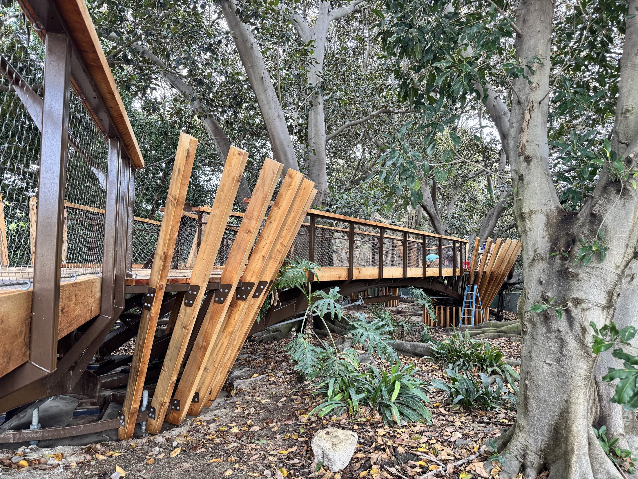 South Coast Botanic Garden project view 2