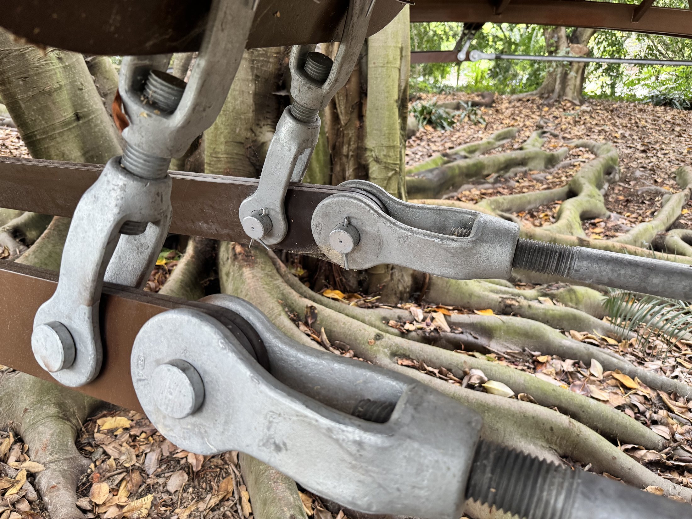 South Coast Botanic Garden project view 11