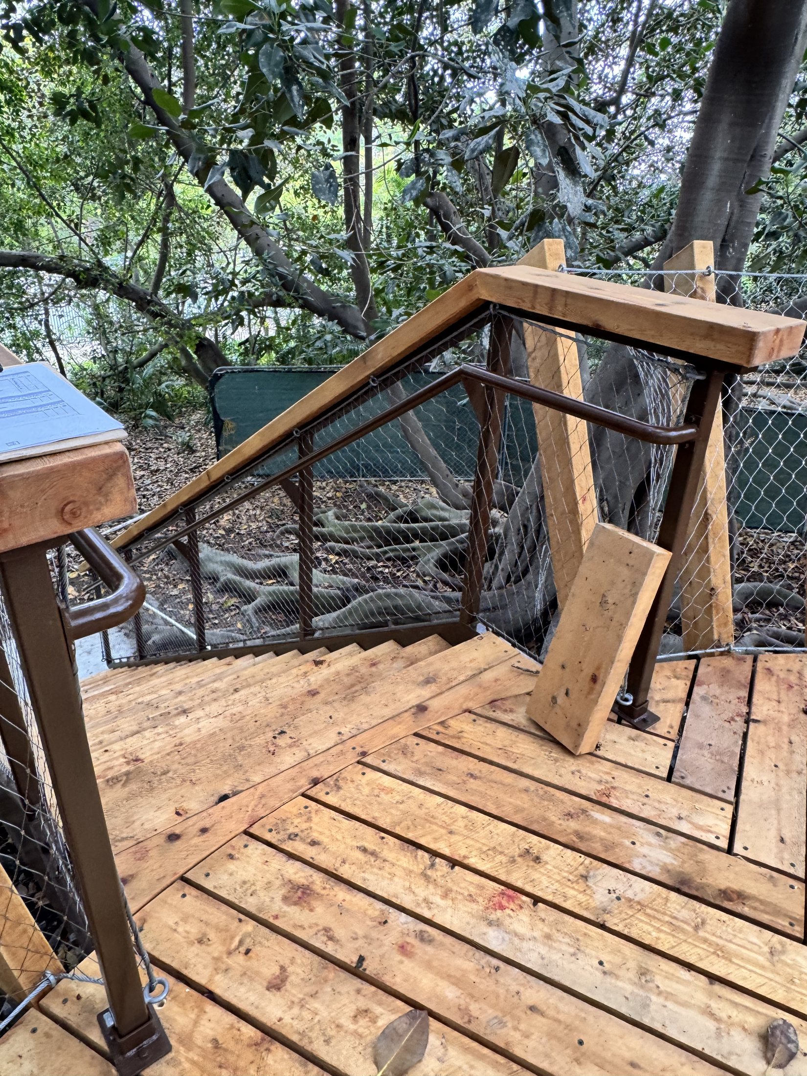 South Coast Botanic Garden project view 18
