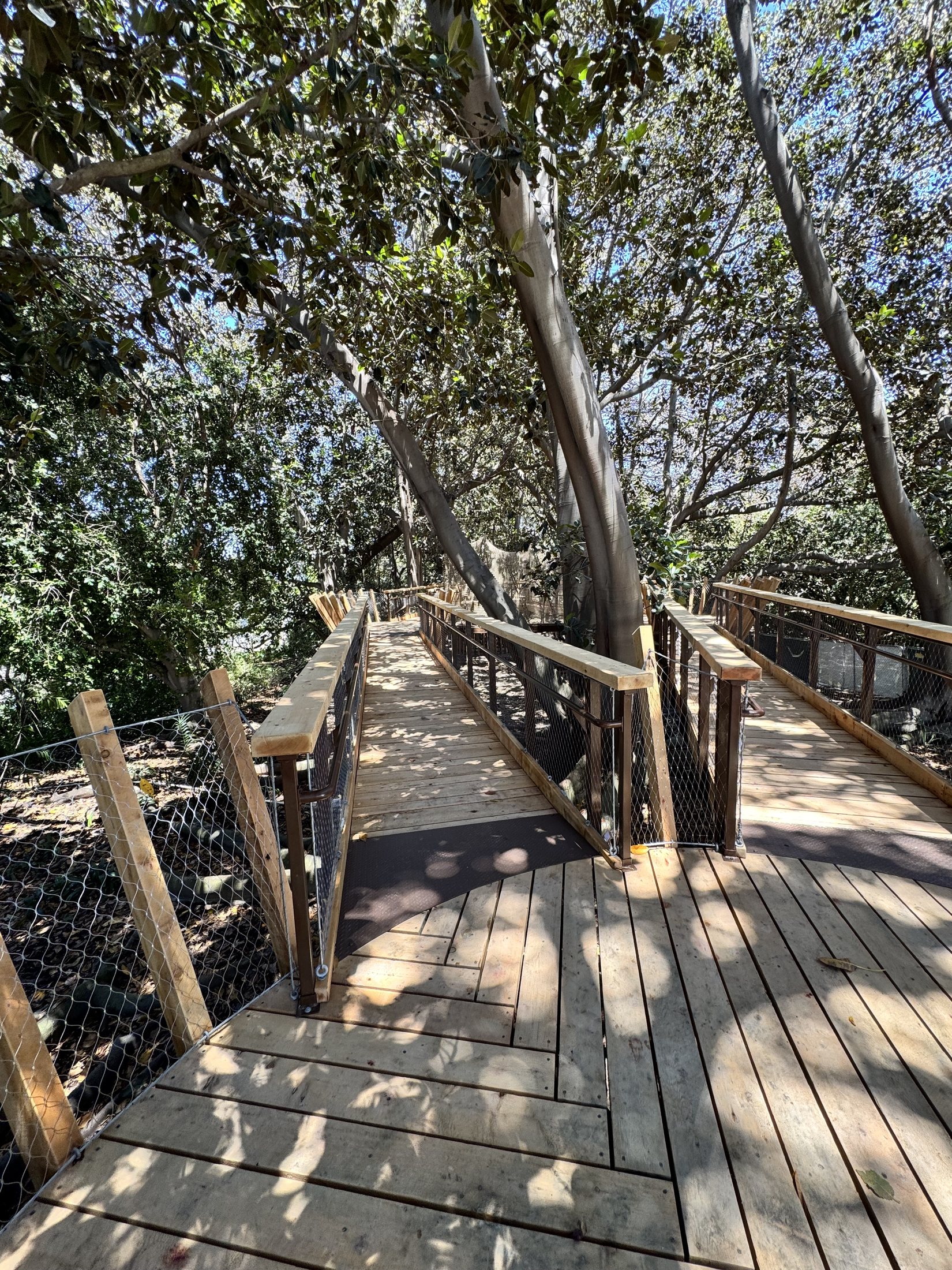 South Coast Botanic Garden project view 25