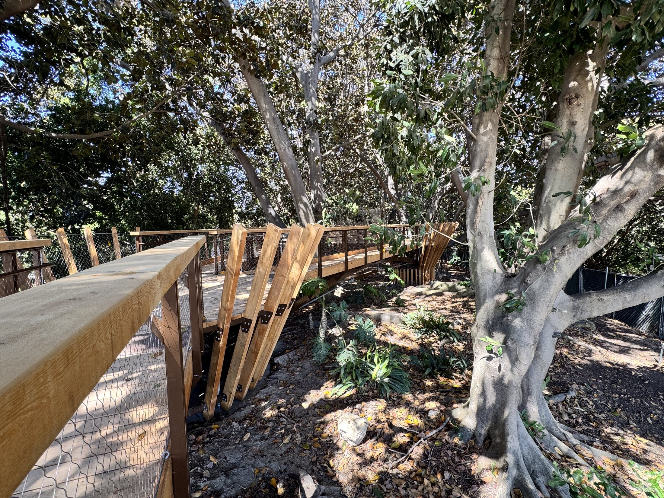 South Coast Botanic Garden project view 28