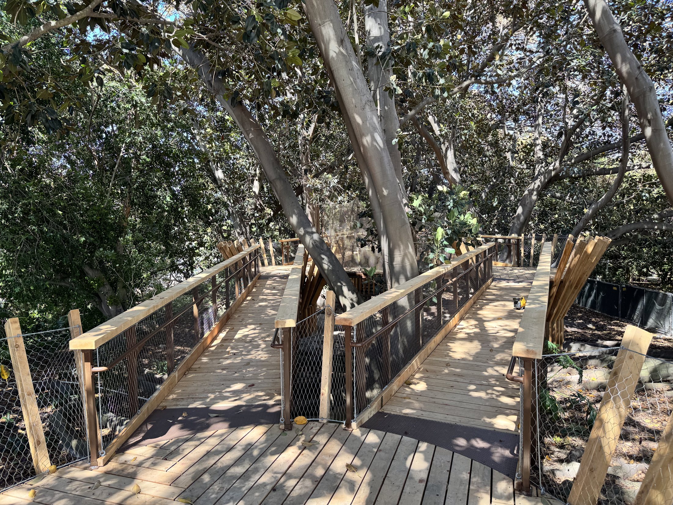 South Coast Botanic Garden project view 30