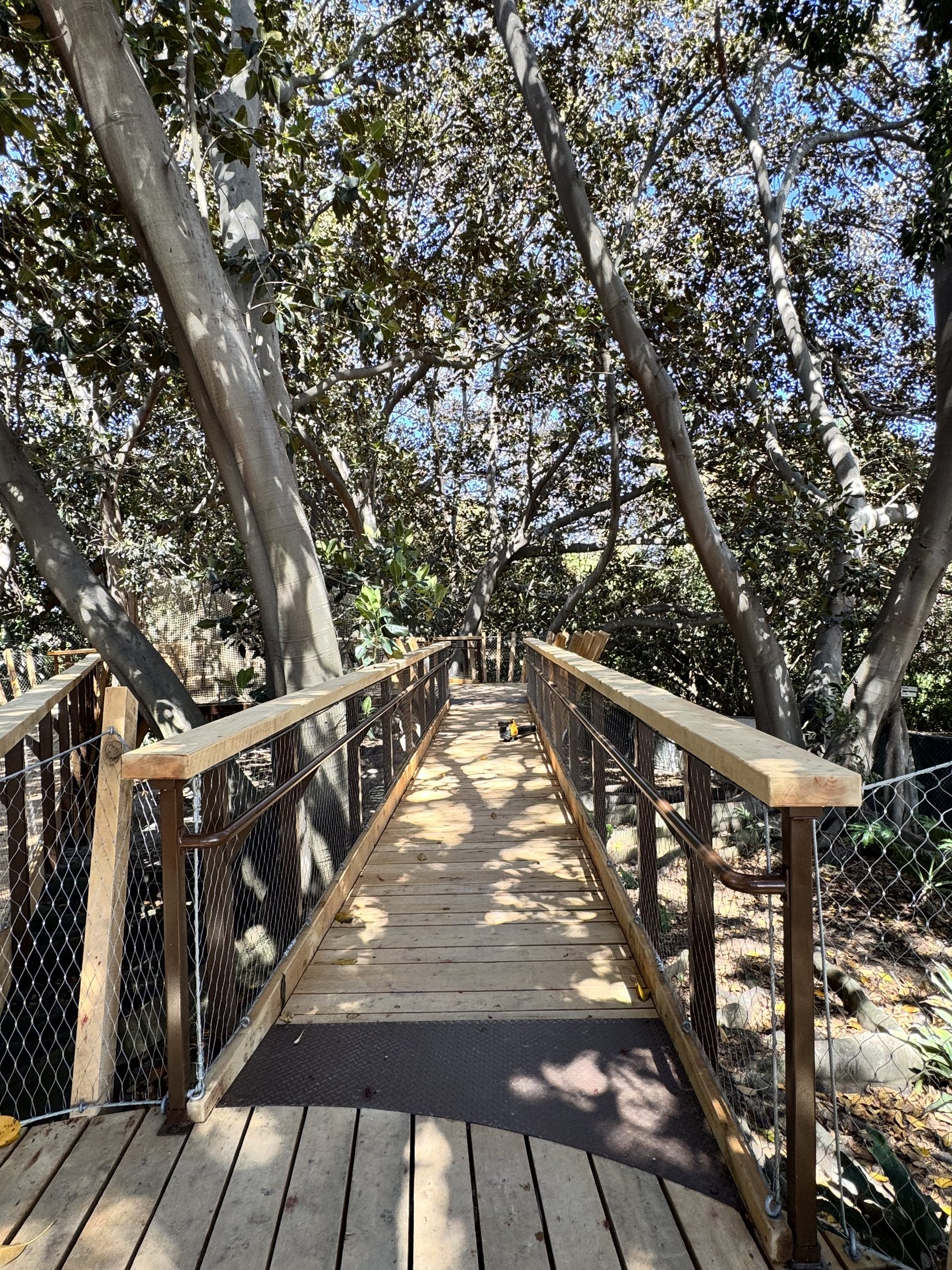 South Coast Botanic Garden project view 31