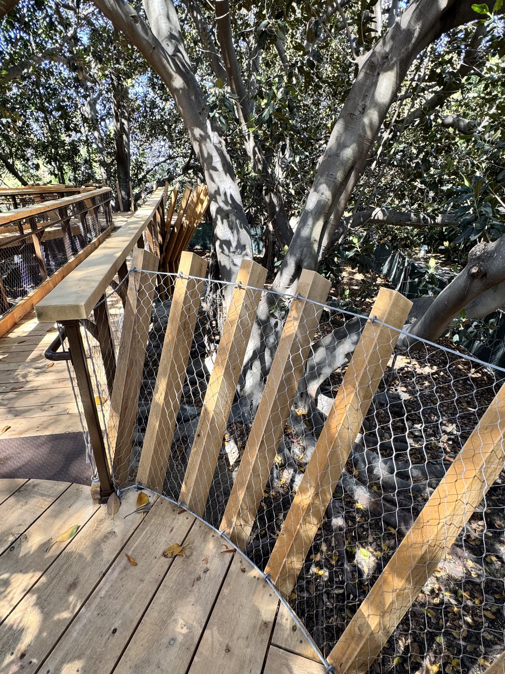 South Coast Botanic Garden project view 33