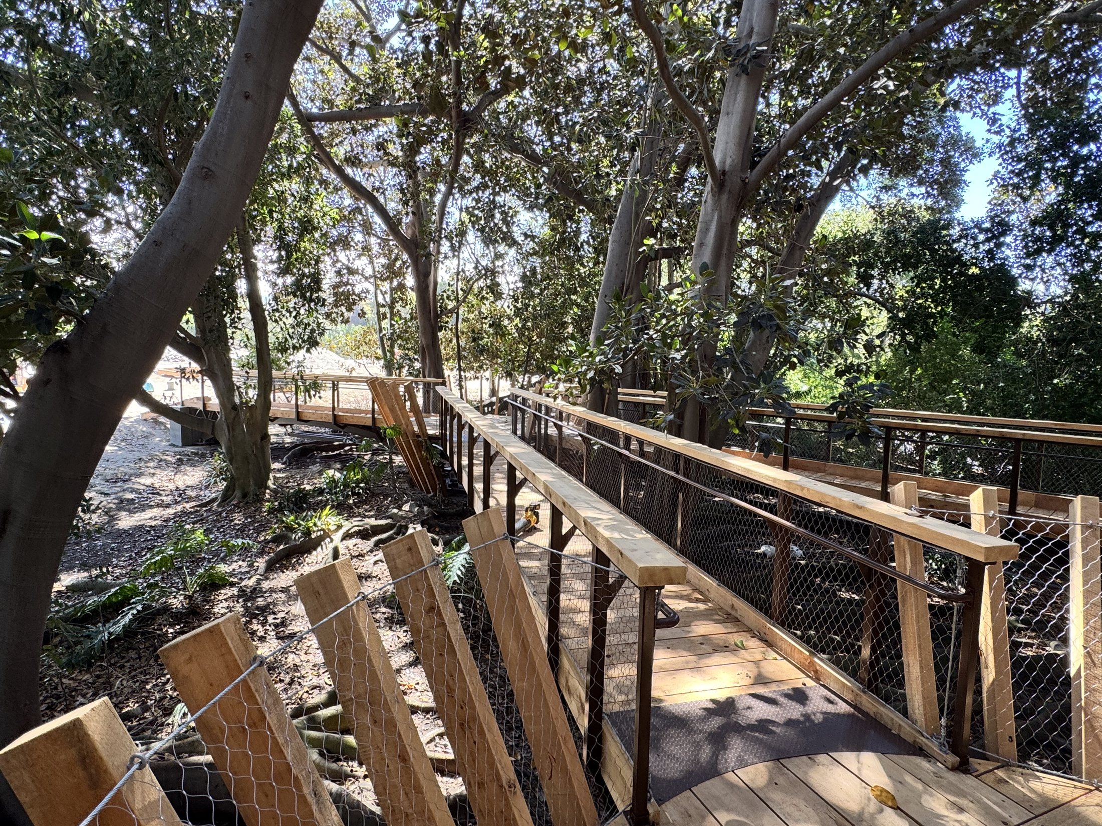 South Coast Botanic Garden project view 35