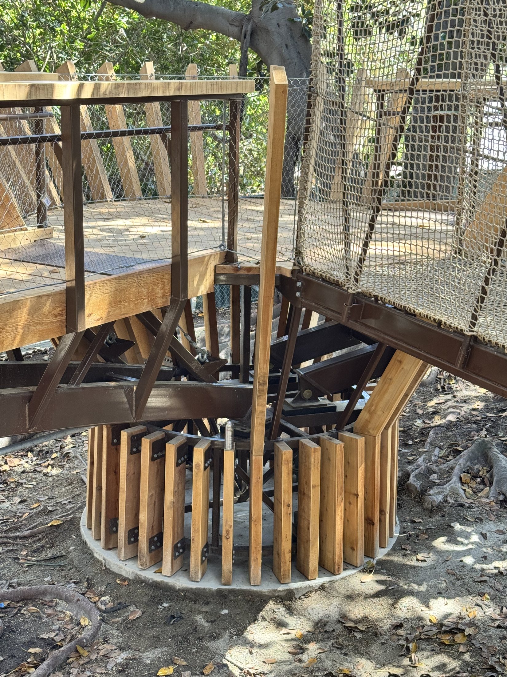 South Coast Botanic Garden project view 41